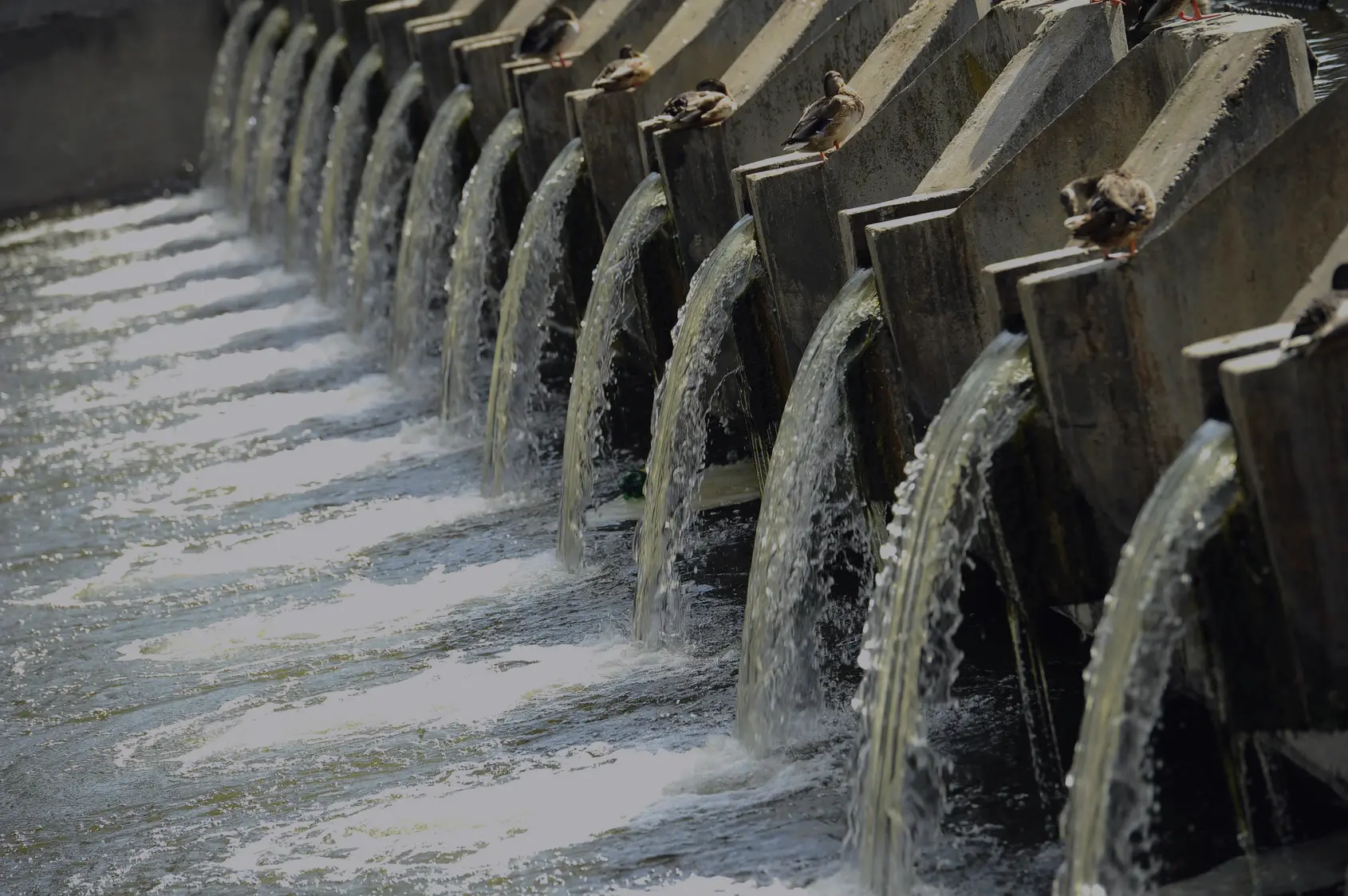 water-purification-1